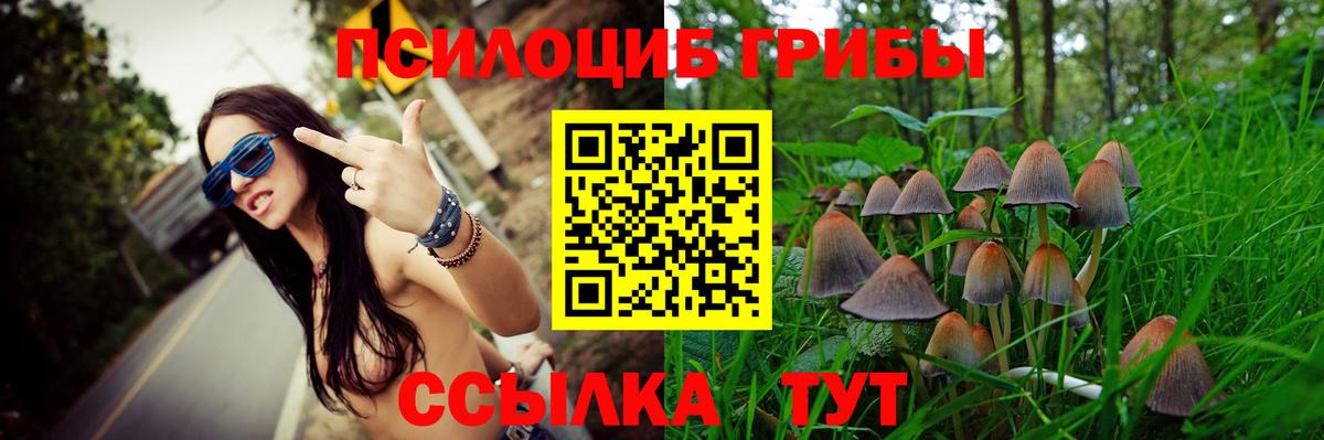 Галлюциногенные грибы мухоморы  Псилоцибиновые грибы Magic Shrooms  купить наркоту  Вход с VPN  Пенза 